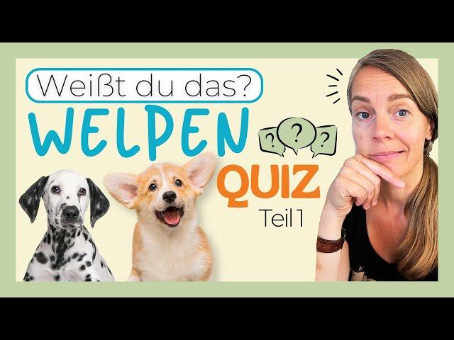 WELPENERZIEHUNG - Wie gut kennst du dich aus zum Thema Sozialisierung, Beißhemmung & Spielzeug?