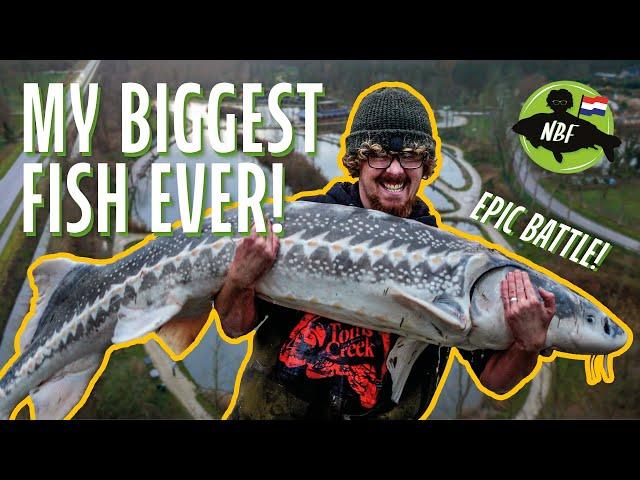 Biggest Fish of My Life!  Sturgeon Fishing Adventure in the Netherlands 