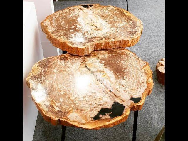 Petrified Teak Wood Side Table