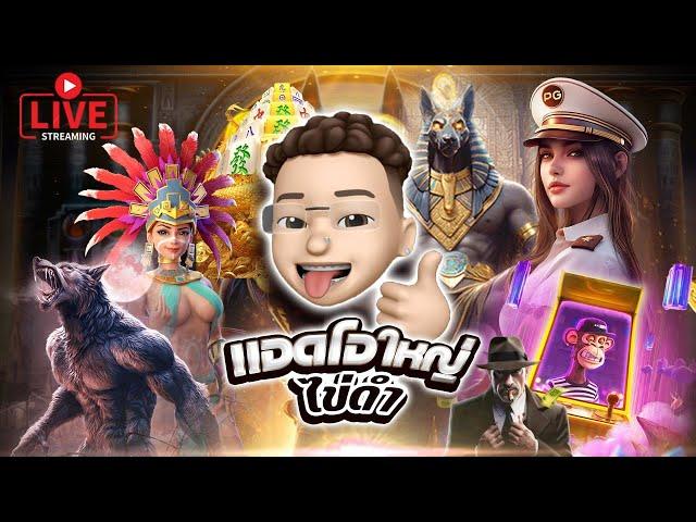 ไลฟ์สดสล็อต ไลฟ์สล็อต สล็อตสด (LIVE SLOT)  แอดโอใหญ่ ไข่ดำ