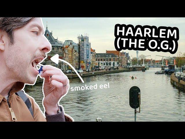 PALING + FONDUE IN BEAUTIFUL HAARLEM  (haarlem travel guide, netherlands)