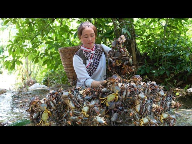 Vang Hoa goes into the green forest to earn money to cure stage 2 liver disease for ,zon