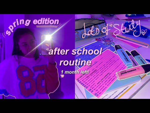 *spring* after school routine (leaving cert student)