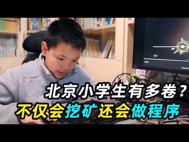 北京小学生有多内卷？不仅会挖矿，还拿到了中科院程序员一级证书！