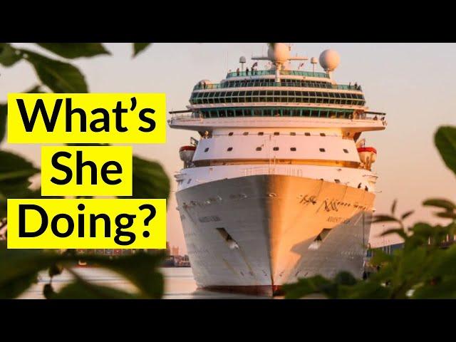 What are these cruise ships doing during the cruise shutdown?