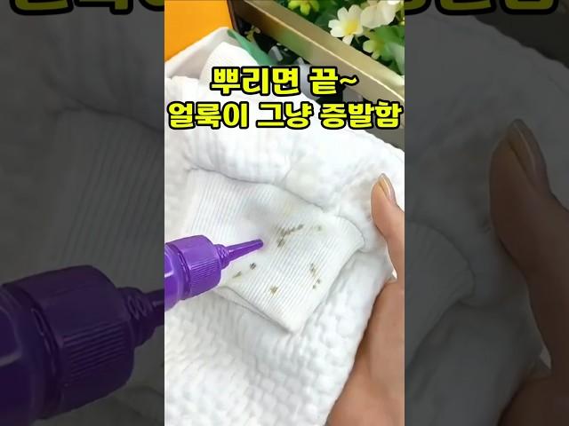 구매링크는 프로필 클릭!  상품번호 164번 매직 얼룩제거제 #꿀템 #생활꿀템 #신박한제품 #유용한제품