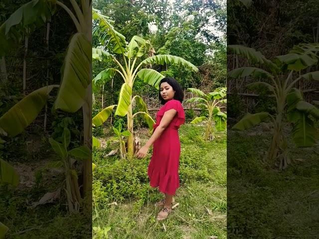 Nilmuni | Dagar Tudu | viral shorts | new santhali song |#viralshort #dagar_tudu #santhalishortvideo