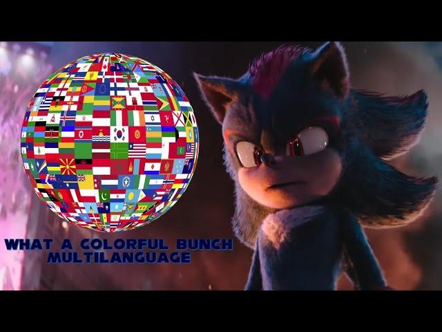 Sonic the Hedgehog 3-You're a Colorful Bunch Multilanguage