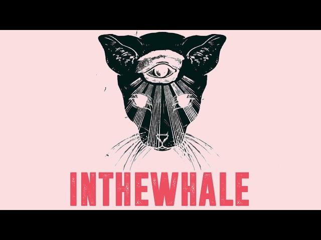 In The Whale - "Highways" and "Galaxy" - WorldViral.tv LIVE (7.26.18)