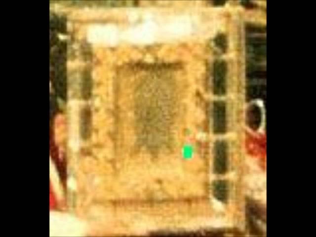 Veronica Veil Solves Shroud of Turin Mystery