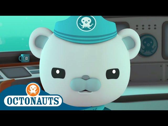 Octonauts - Captain's Super Adventures | Cartoons for Kids | Underwater Sea Education