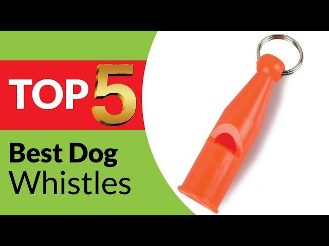 Top 5 Best Dog Whistles Review of 2025 [Buying Guide]