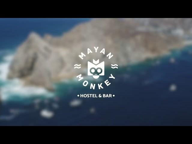 Mayan Monkey: The best hostel in Cabo San Lucas 