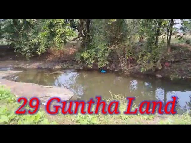 29 Guntha river touch agriculture Land @ My Fortune Property