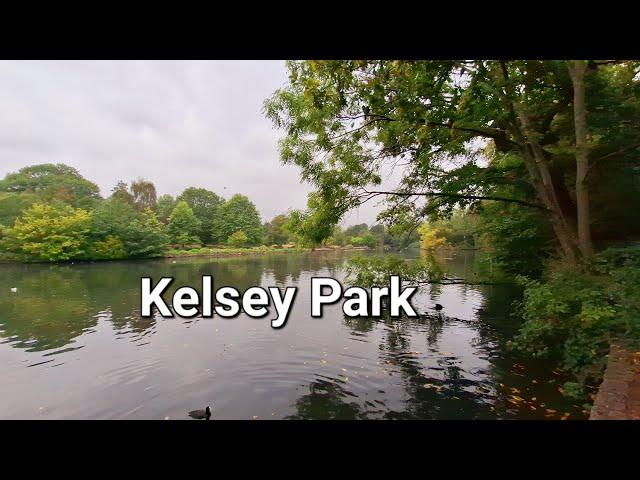 Wanderings in the rain: Kelsey Park and its many beautiful inhabitants