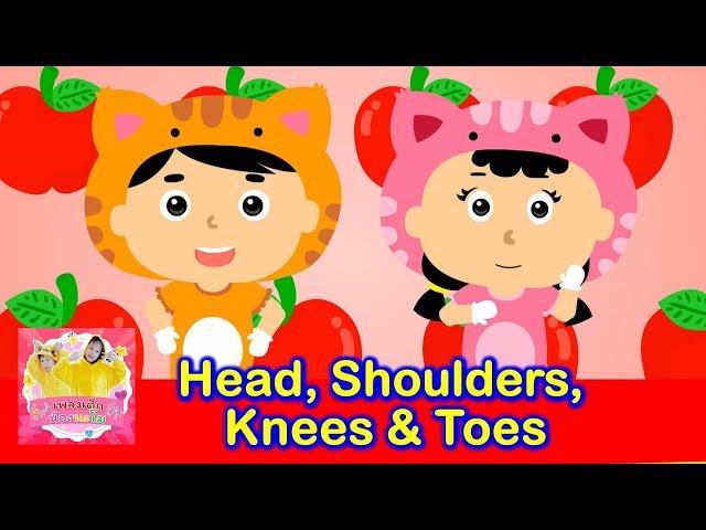 Head, Shoulders, Knees & Toes | Exercise Song For Kids เพลงเด็กภาษาอังกฤษ