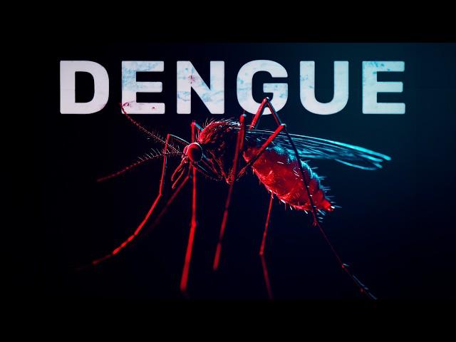 Historias Innecesarias: DENGUE y MOSQUITOS