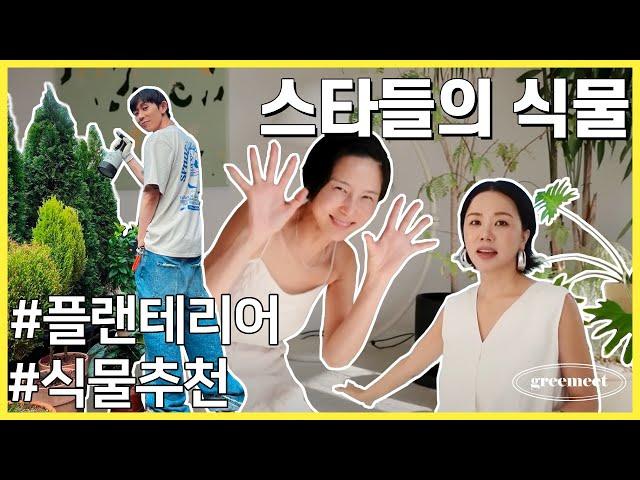 식물 인테리어에 진심인️  연예인들의 플랜테리어