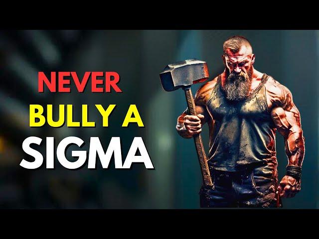 10 Reasons Why You Should Never Try To BULLY A Sigma Male