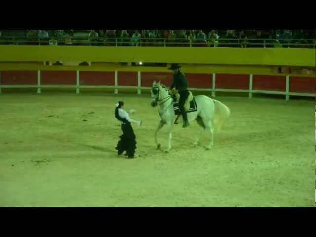 Les Saintes-Maries-de-la-Mer. La Camargue. Danseuse de Flamenco et son Cavalier dans les Arènes