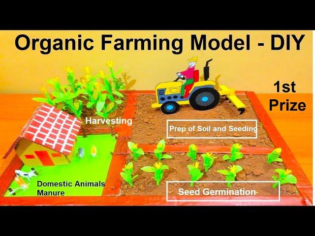 organic farming model making | science project | DIY | Agriculture model | howtofunda