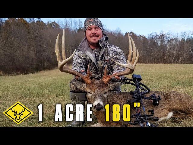 1 ACRE 180" | Hang & Hunt for a BOONER Whitetail!