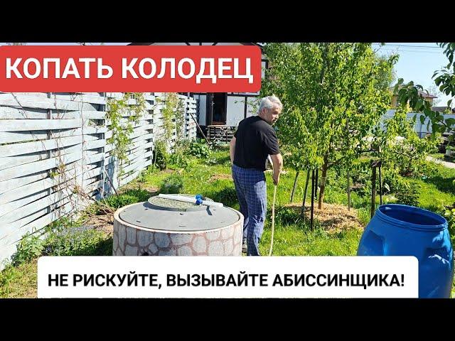 Копка колодца - не рискуйте, вызывайте абиссинщика // не нужный дуплет.