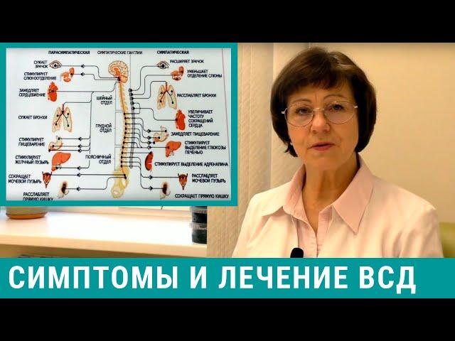 Вегетососудистая дистония: симптомы и лечение ВСД