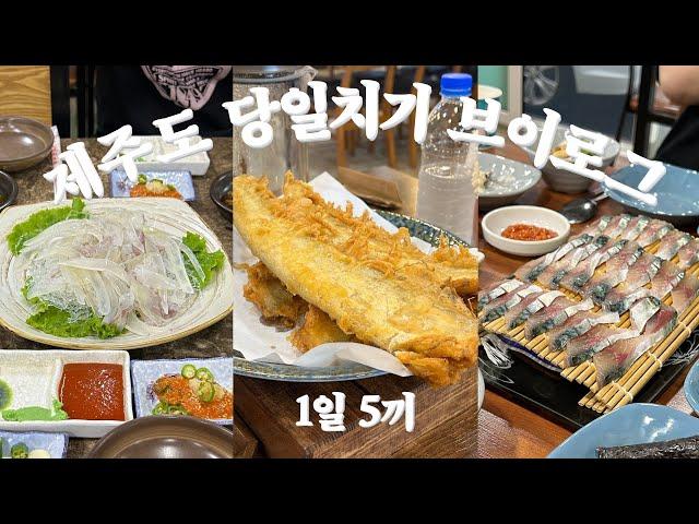 Mukbang vlog in Jeju island | 5 meals in a day | Kuwait friend | Jeju cafe | Jeju restaurant