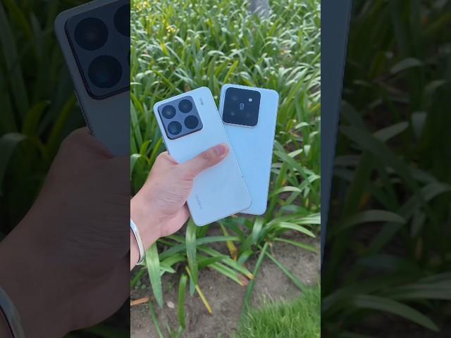 Xiaomi 15 Pro vs Xiaomi 14 Pro Camera Telephoto Zoom Photography #shorts