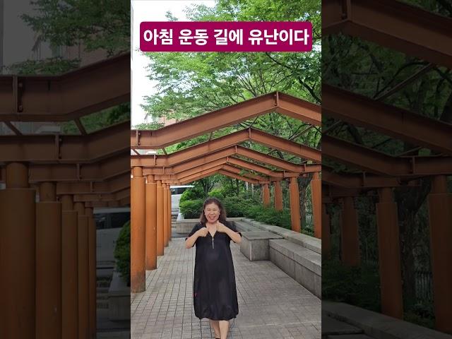 된다박수 첼린지 23번째 나만의 건강 운동이 아침을 깨운다 #새벽운동 #수영 #상쾌한아침  #된다박수의에너지를믿는다 #화숙tv