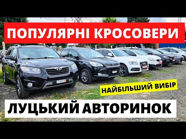 ПОПУЛЯРНІ КРОСОВЕРИ НА ЛУЦЬКОМУ АВТОРИНКУ // 22.08.2024р #автобазар  #автопідбір #автопідбірлуцьк