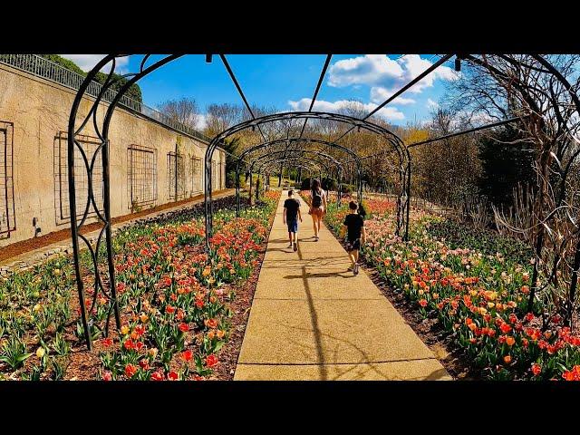 Nashville Tennessee | Cheekwood botanical gardens in early Spring