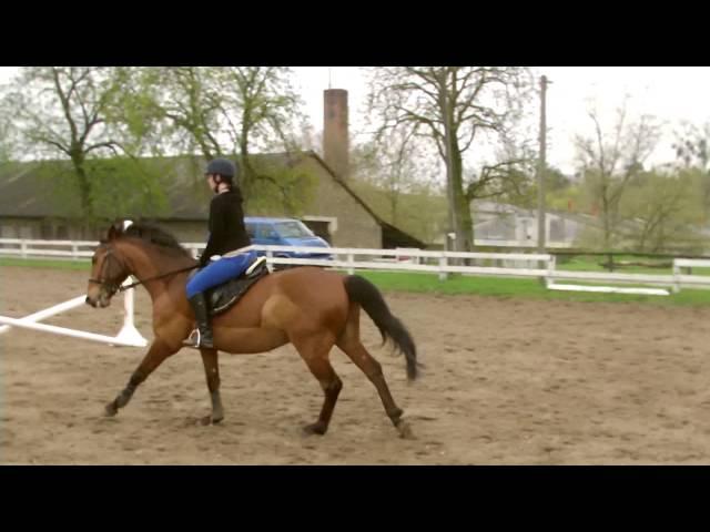 Optis zweite Springstunde