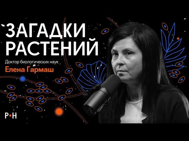 Невероятные растения / «социальные» подсолнухи, гигантский цветок и общий предок растений и животных