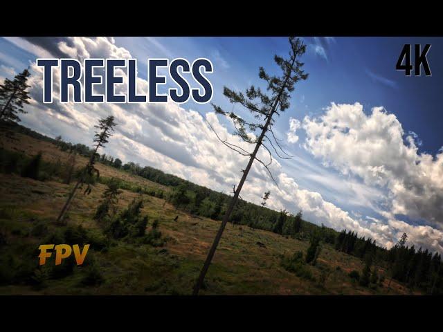 Roudno - TREELESS 4K | FPV