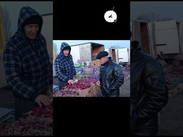 Сильвестр Сталоне на Желябовке Ялтинский лук , цена опт , от 09.04.25.