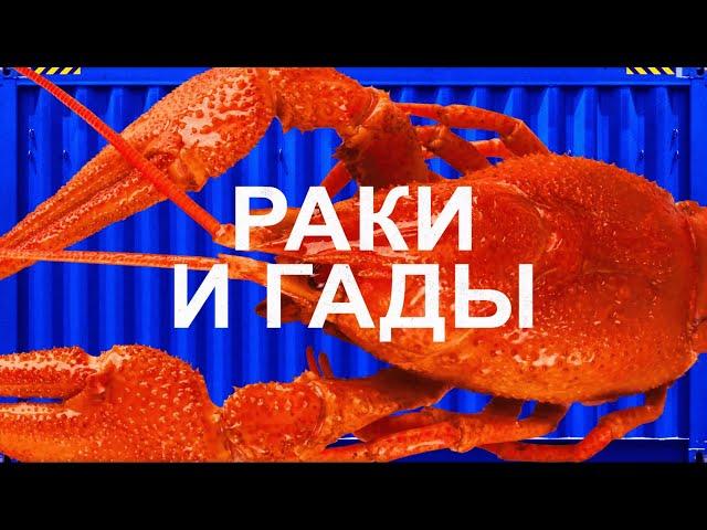 КАК ЕДЯТ РАКОВ В РАЗНЫХ СТРАНАХ?