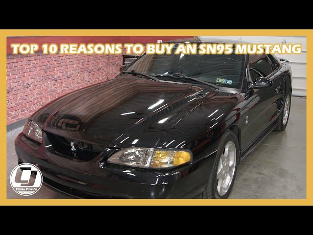 Why Buy an SN95?! (Top 10 Reasons to Consider this Car!)