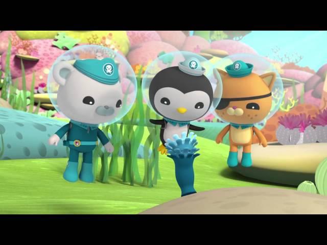 Octonauts: Cutest Creatures!