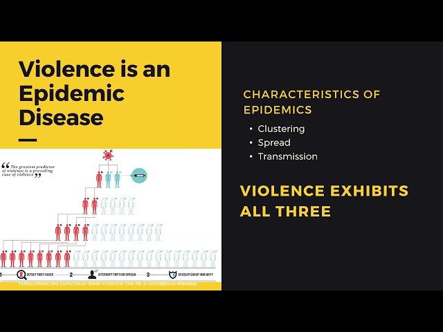 Violence is a Health Care Issue Webinar pt. 3