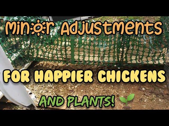 Minor Adjustments For Chickens and Garden Plants - Ann's Tiny Life