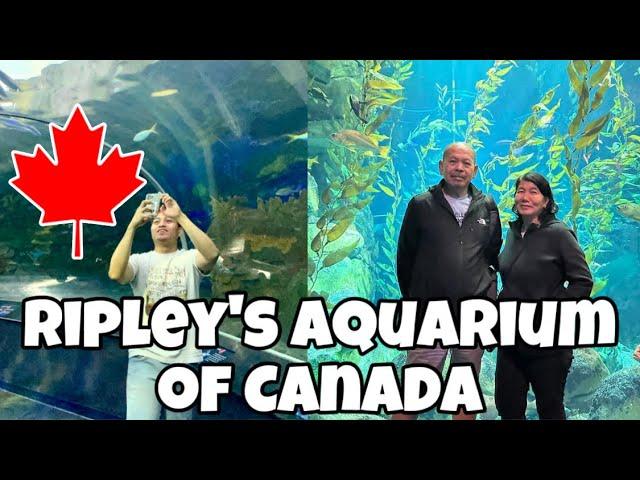 FIRST TIME NAMIN MAKAKITA NG SHARKS | BUHAY SA CANADA