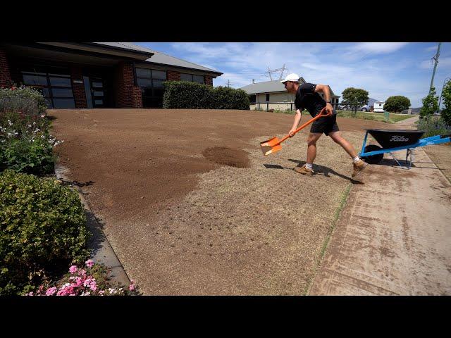 Lawn Renovation From Start To Finish // Scarify, Scalp, Core and Topdress