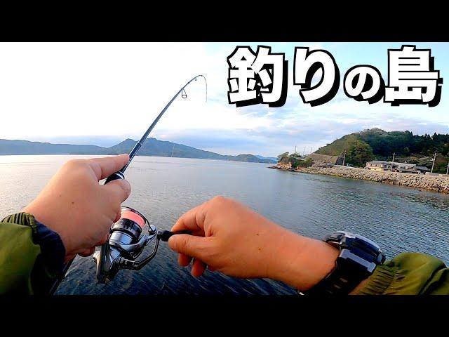 魚影が濃すぎる島のアジングが楽しすぎる