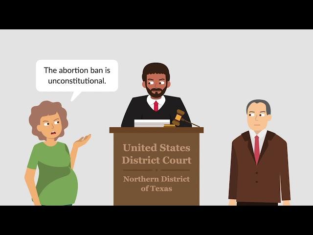 Roe v. Wade Case Brief Summary | Law Case Explained