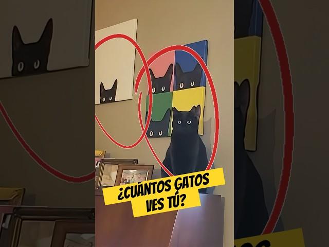 ¿Cuántos Gatos  Hay Realmente?  | Enigmatik
