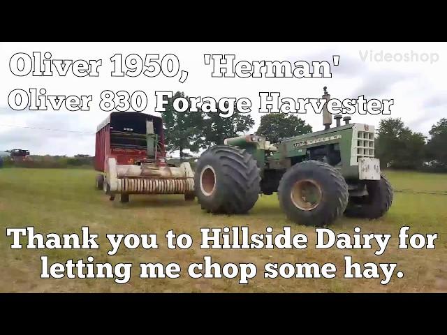 Oliver Forage Harvesting with Detroit Diesel Powered 1950 Tractor