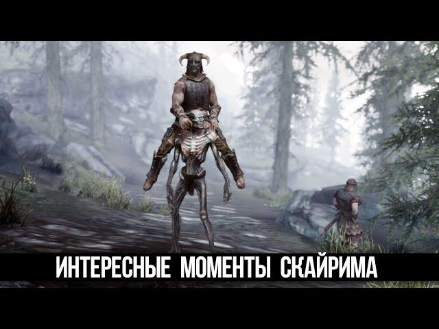 Skyrim Интересные Моменты и Секреты Игры