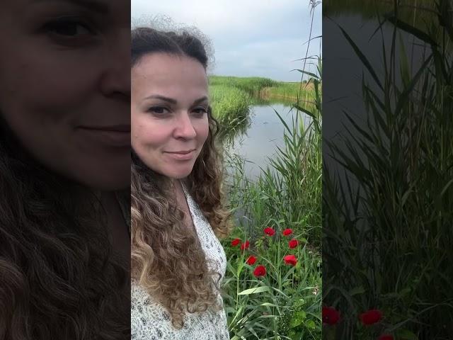 Какая красота у нас на Кубани петровчанка Лера #garden #gardenlife #дача #огород #shorts